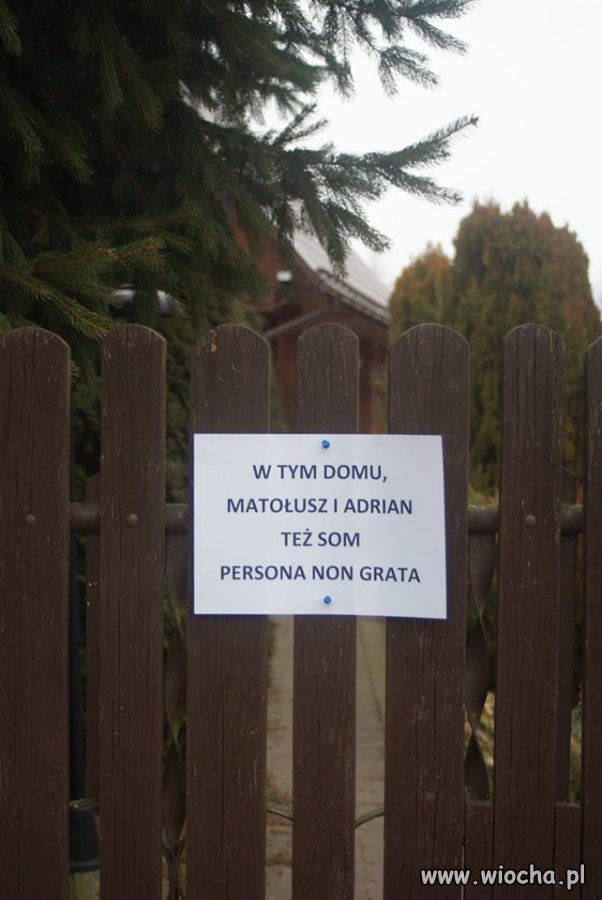Będą prowadzić taką politykę zagraniczną 