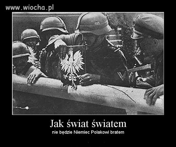 Za tego mema 30 dni bana na fejsie