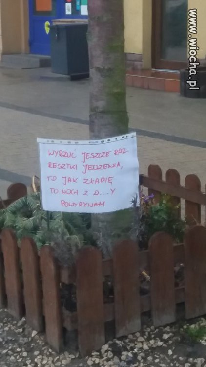Czysty przekaz 
