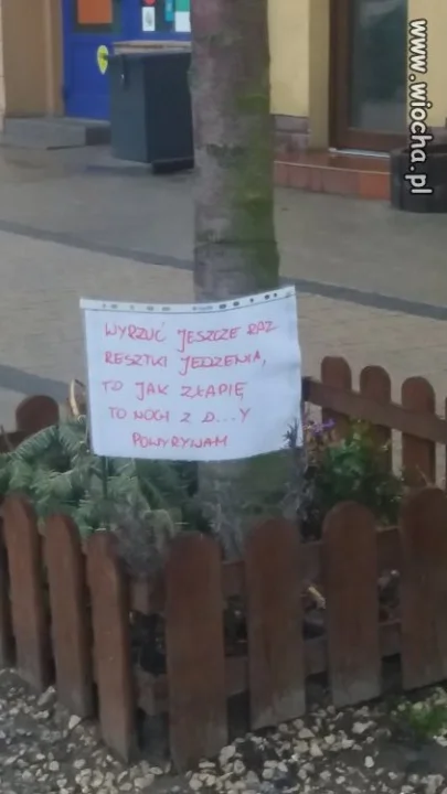 Czysty przekaz 
