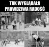 A dziś po galeriach 