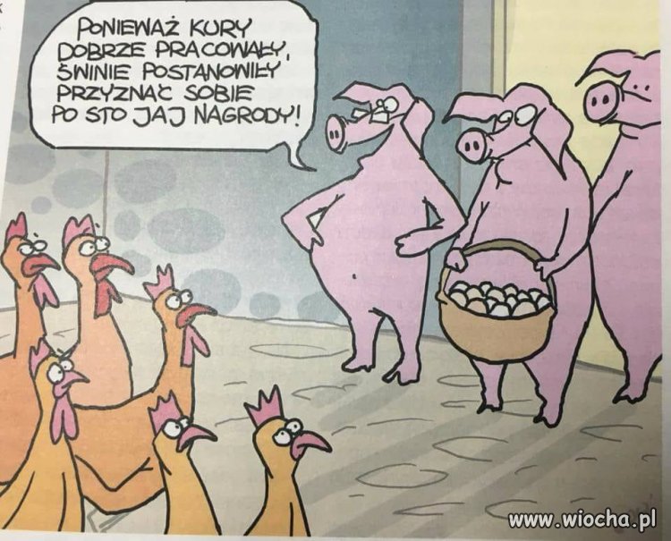 Zupełnie nie polityczna wstawka 