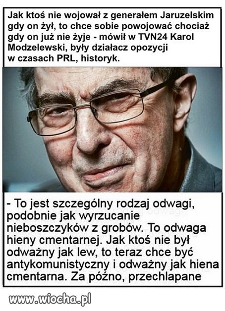 Odwaga hien cmentarnych