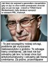 Odwaga hien cmentarnych