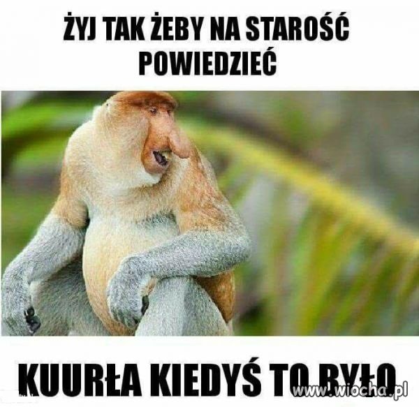 żyj tak żeby