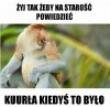 żyj tak żeby