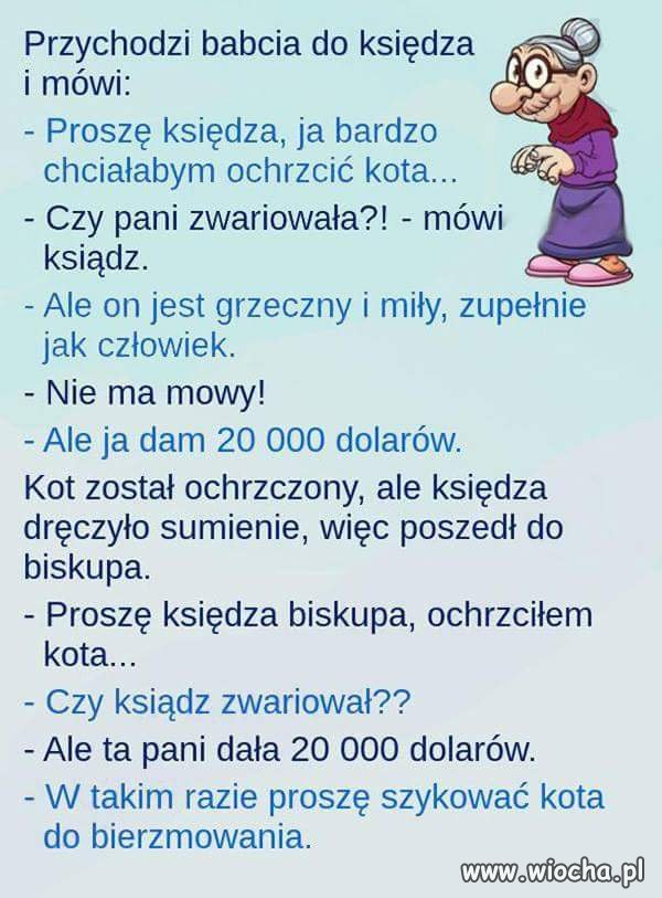 Pleban 