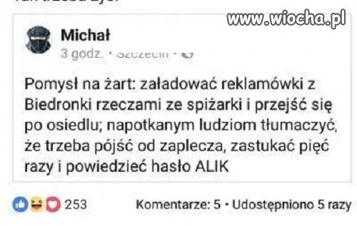 żarcik