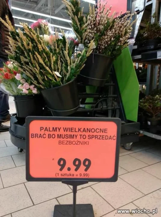 Szczery przekaz 