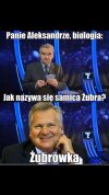 Jeden z 
