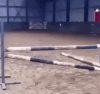 Koń uderza w kontuar.