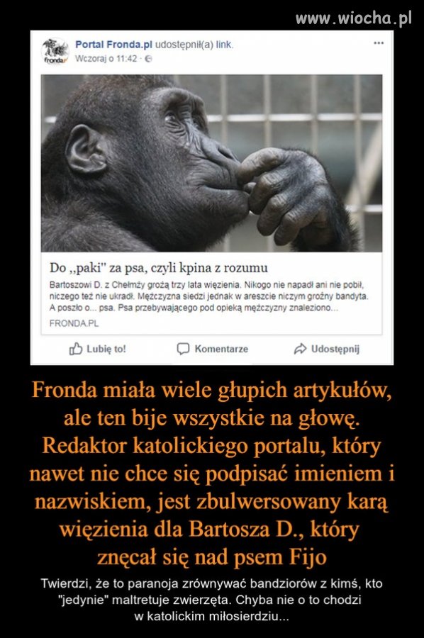 Pozwólcie, że tego nie skomentuję ...