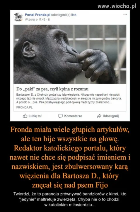 Pozwólcie, że tego nie skomentuję ...