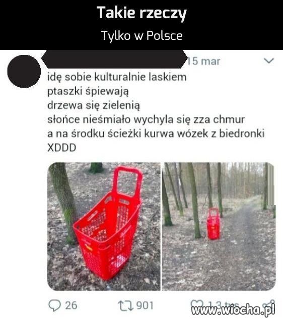Pewnie Januszman przelatywał