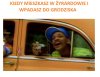 Z Żyrardowa