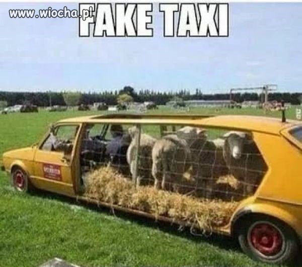 Fake taxi.
