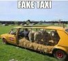 Fake taxi.