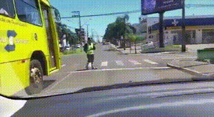 Na pierwszy rzut oka widzisz psa ?
