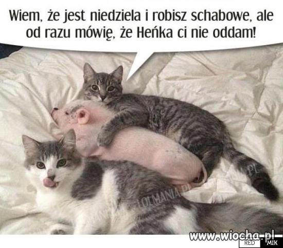 Heniek na kotlety