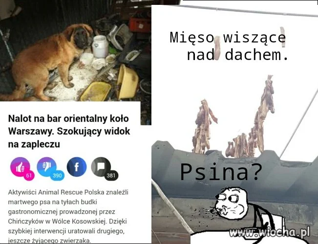 Smacznego życzy...
