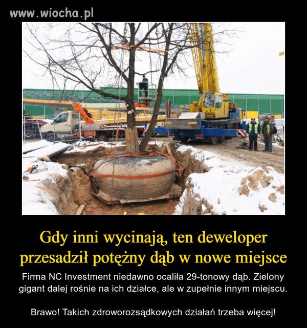 Brawo!