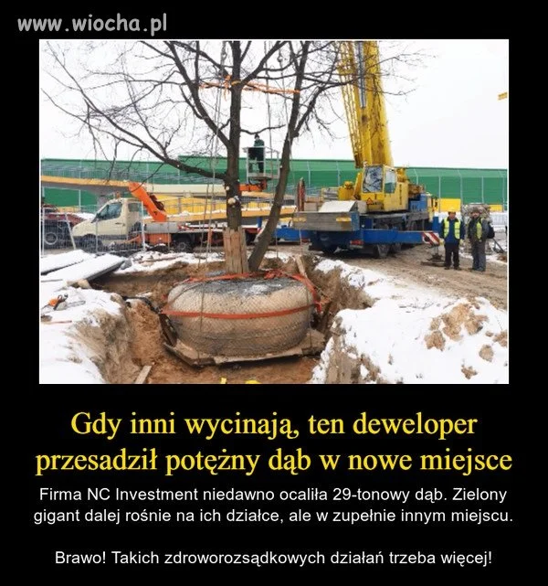 Brawo!