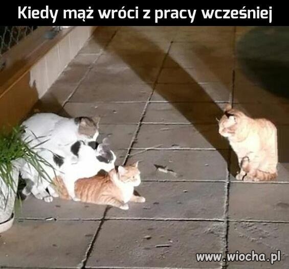 Kiedy mąż wróci z pracy wcześniej