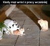 Kiedy mąż wróci z pracy wcześniej