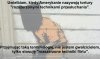 Amerykańska logika
