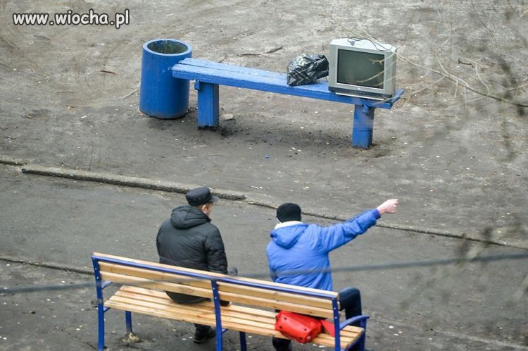 Skocz Mietek i popraw antenę na drzewie