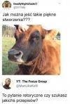 Proste pytanie prosta odpowiedź
