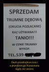 Biznesmen przez duże "B"