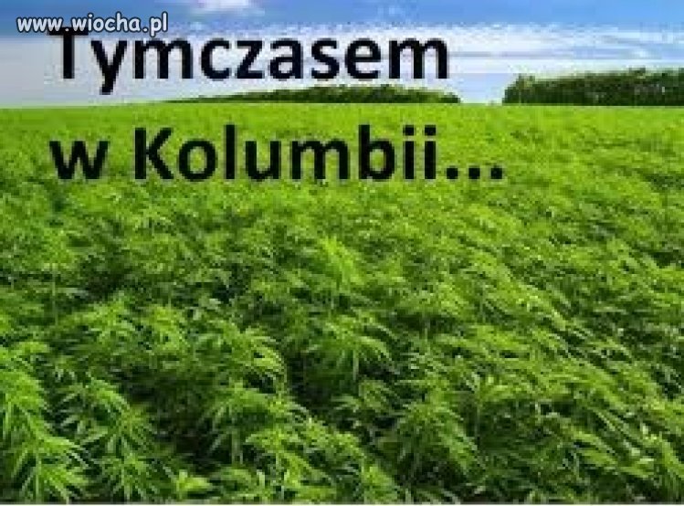 Tymczasem