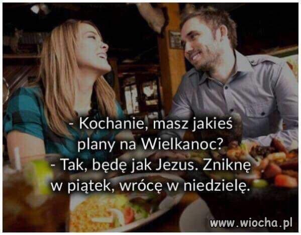 Plany