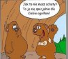 Bez tytułu.
