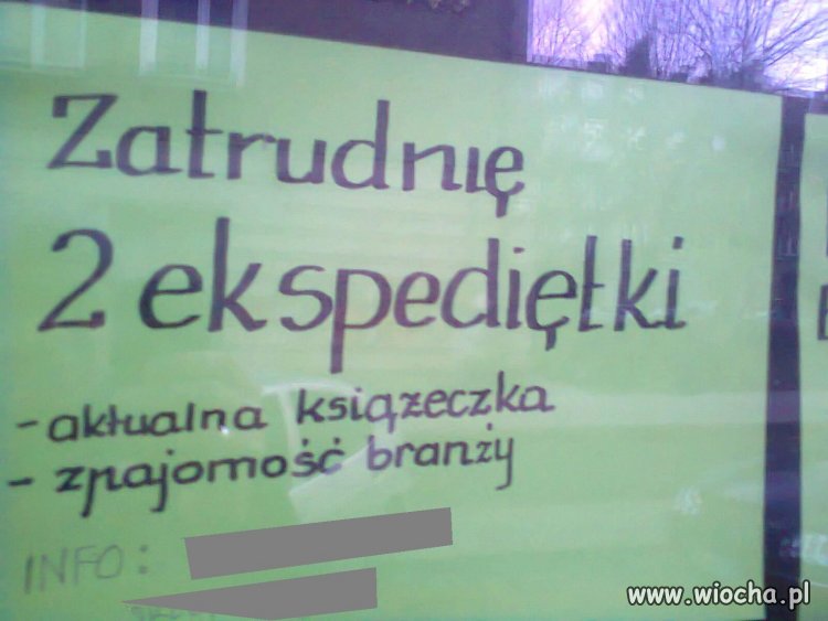 Oferta pracy