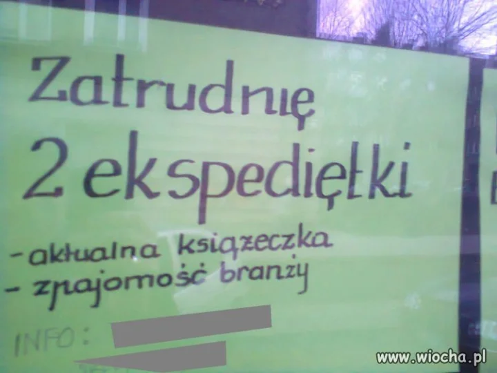 Oferta pracy
