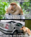 Zmiana opon
