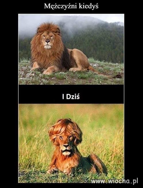 Kiedyś i dziś 