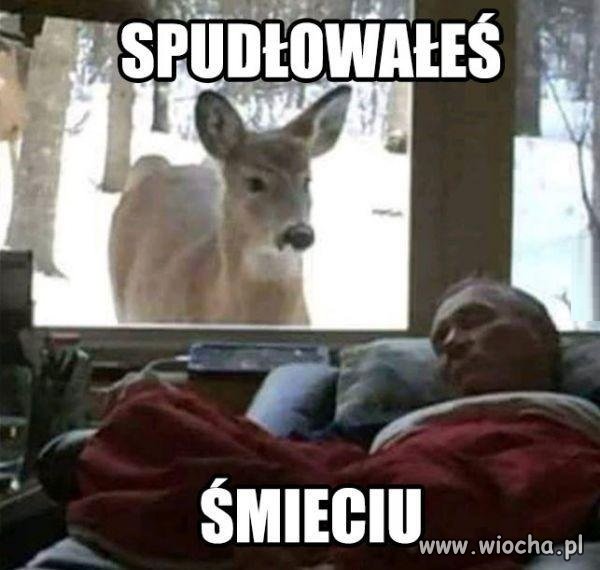 Już po Tobie