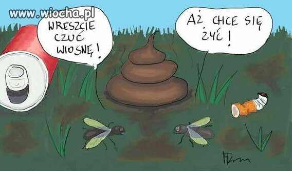 Wiosna!!!