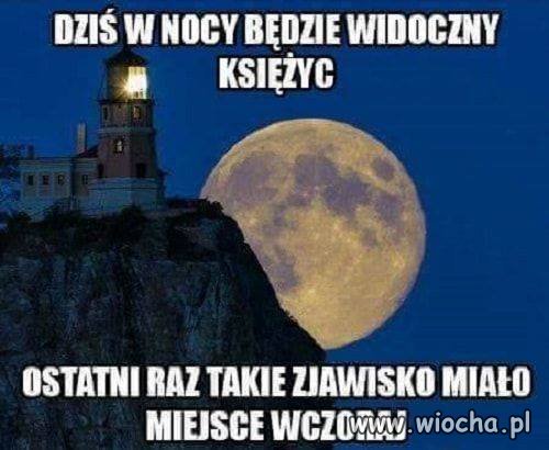 Bez komentarza 