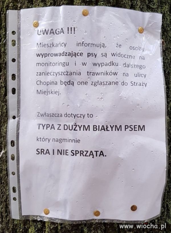 A to typ.