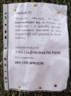 A to typ.