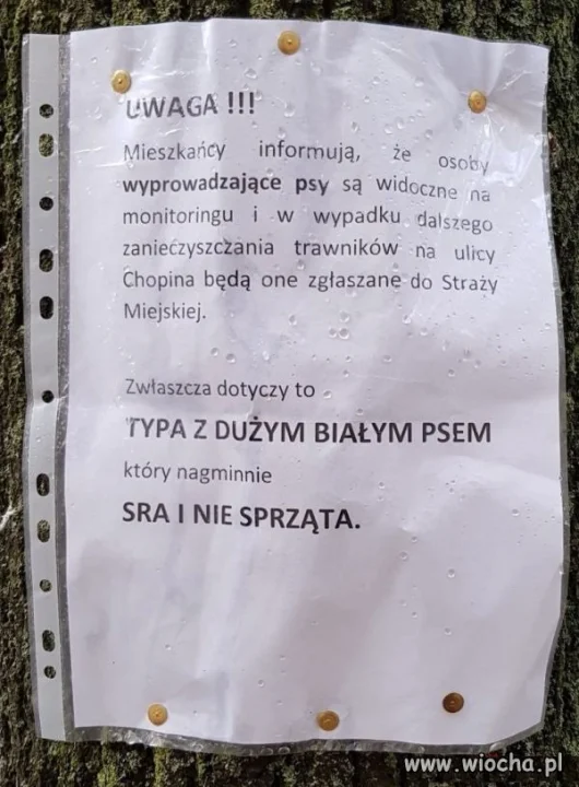 A to typ.