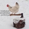 A więc wojna!