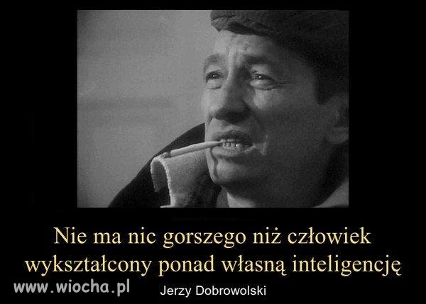 Wykształcenie