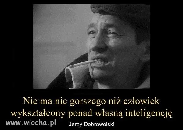 Wykształcenie