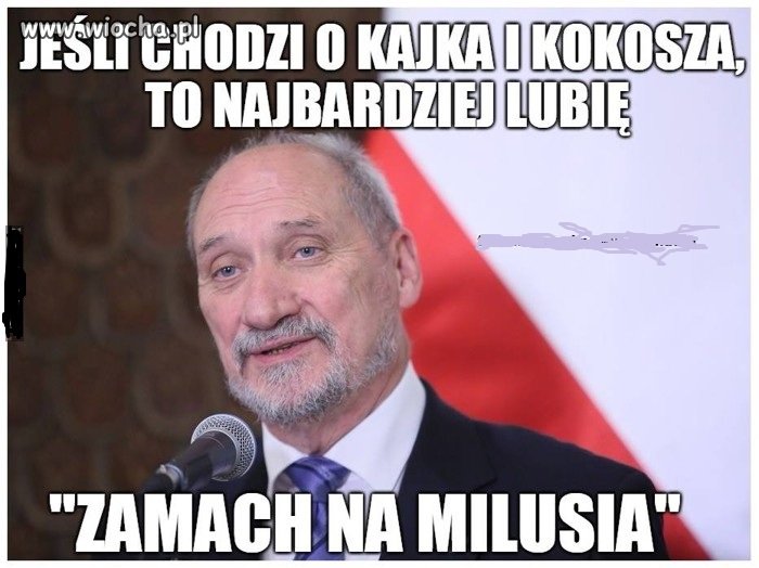 Ekspert