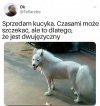 Ktoś zainteresowany?